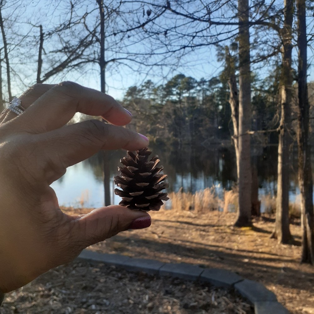 Meet your Posher, Endless summer